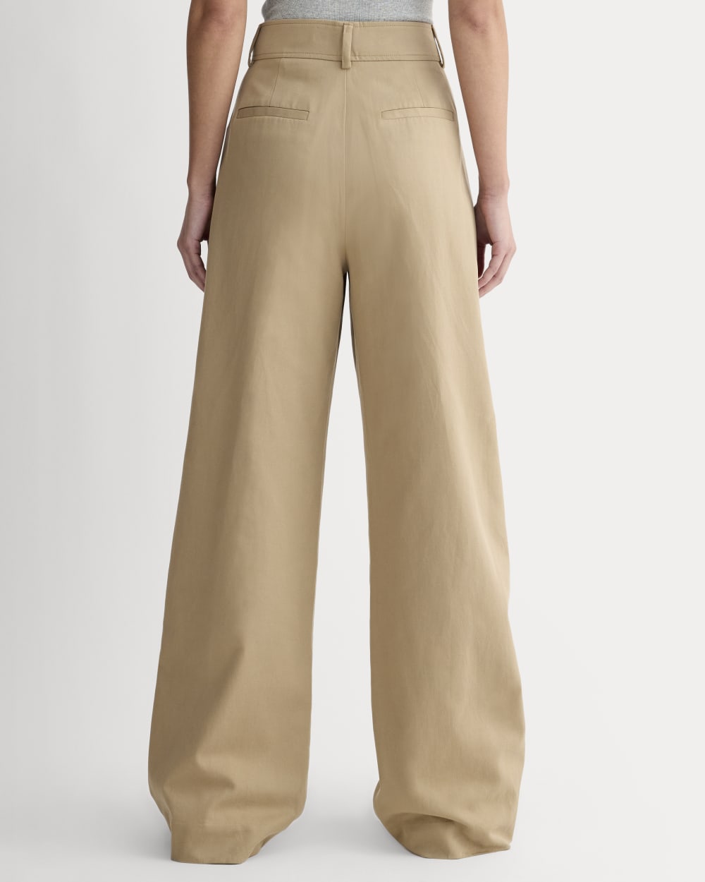 The Draped Pleated Wide-Leg Pant | Ash Brown | 32" Inseam